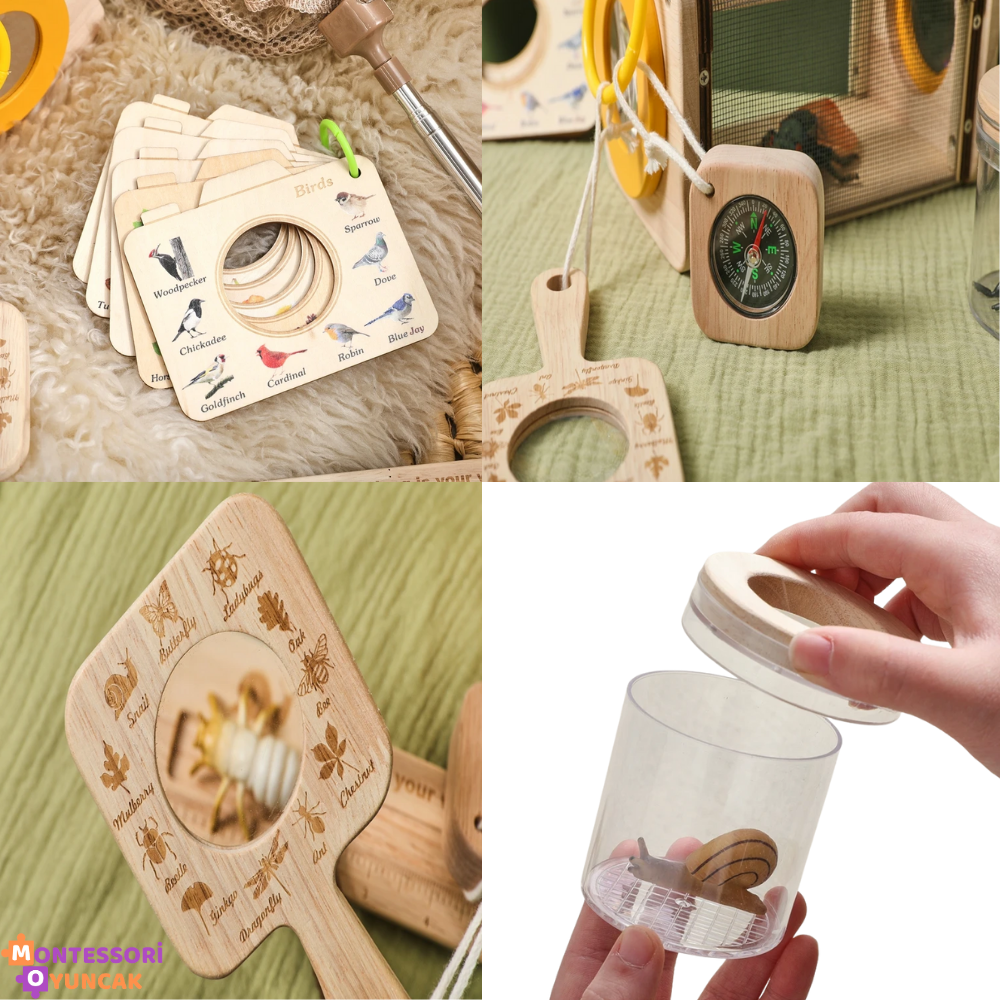 Montessori Insect Study Set