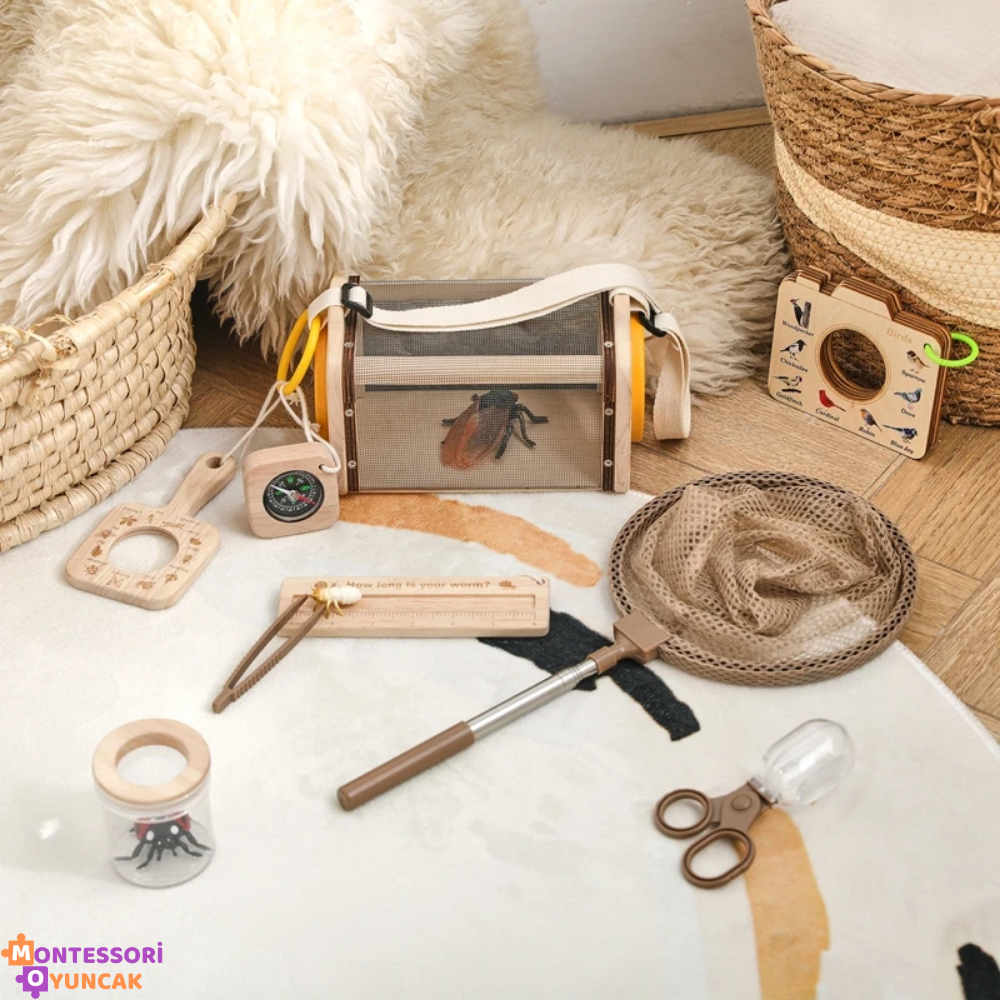 Montessori Insect Study Set