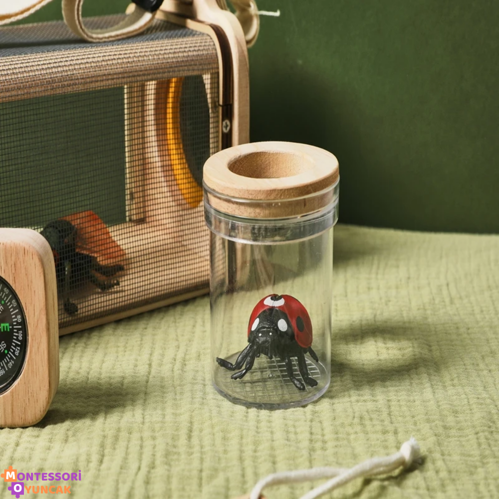 Montessori Insect Study Set