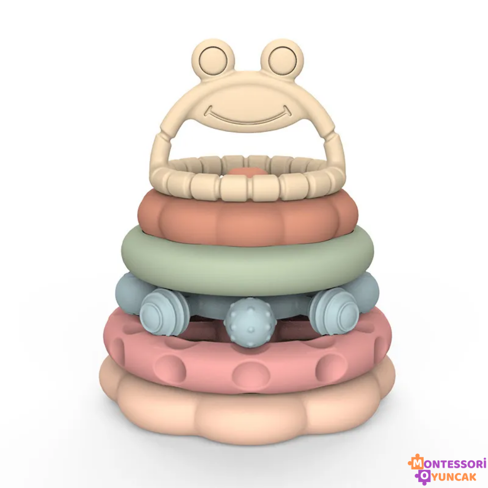 Educational Cute Frog
