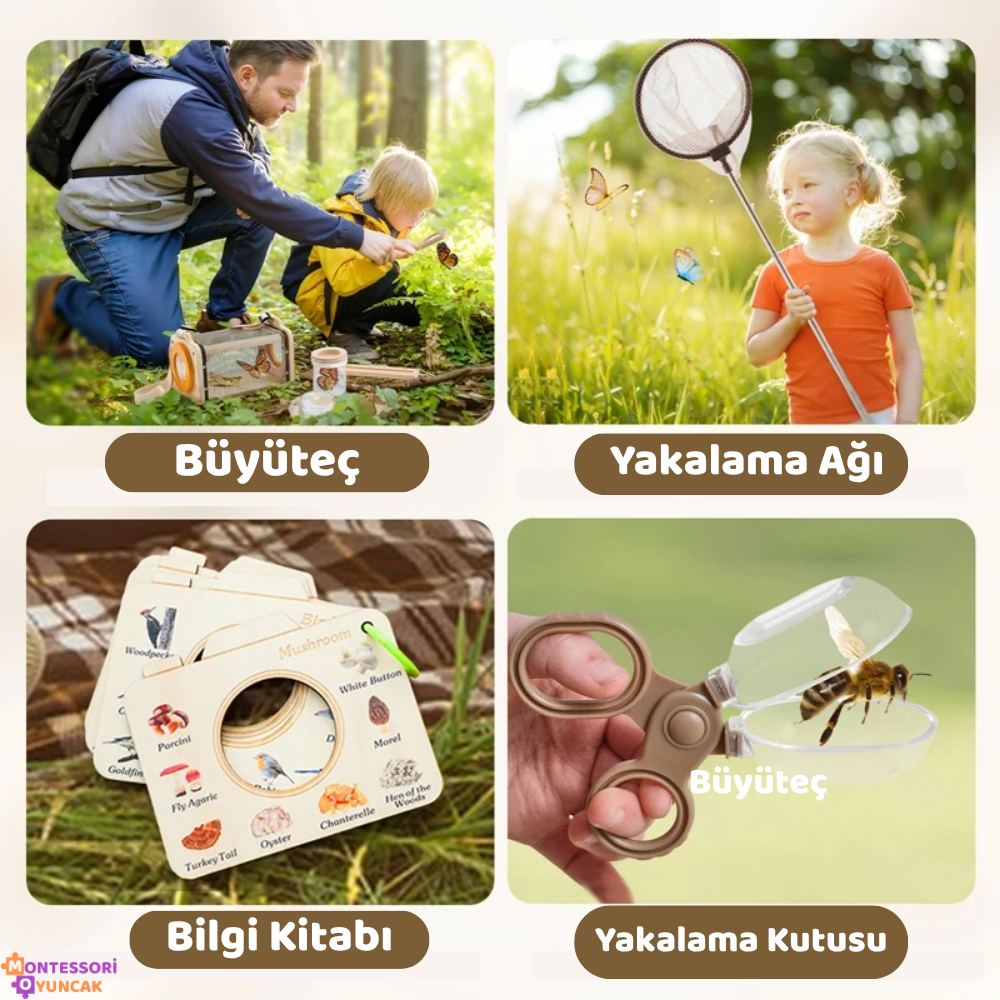 Montessori Insect Study Set