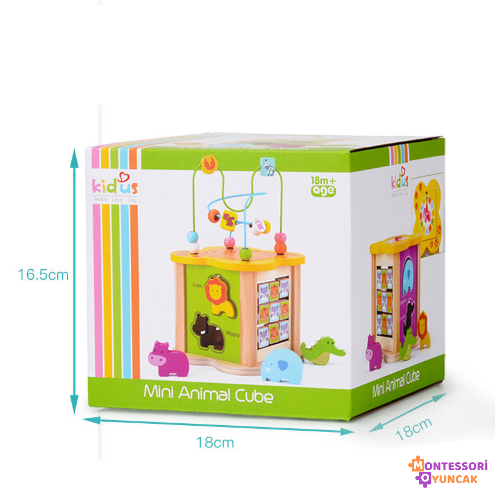 Wooden Sensory Toy