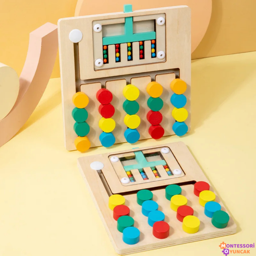 Montessori Ball Matching Game