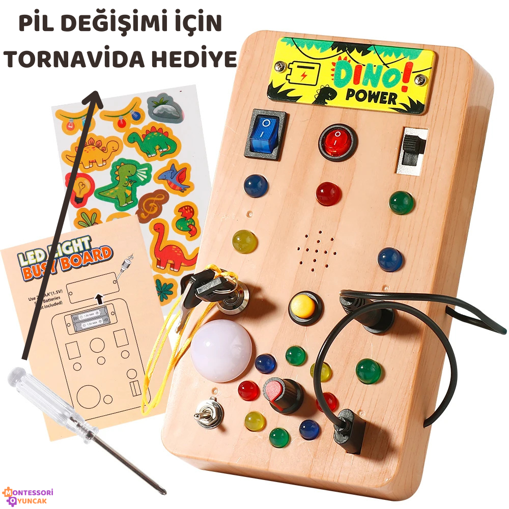 Dino Discovery Board