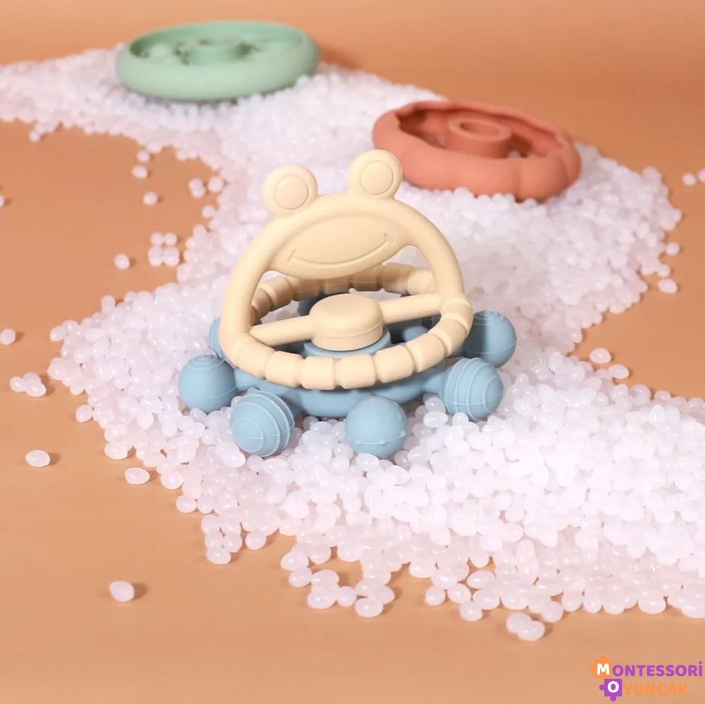 Educational Cute Frog