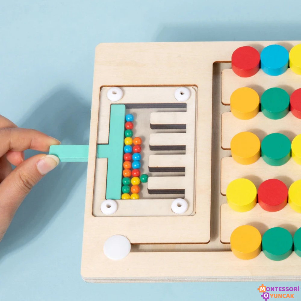 Montessori Ball Matching Game