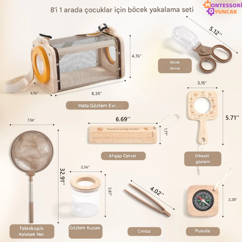 Montessori Insect Study Set