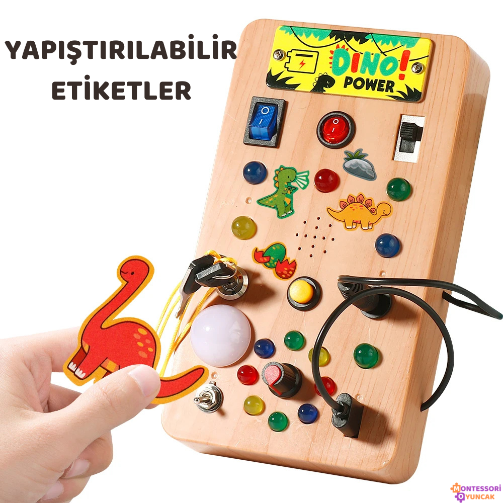 Dino Discovery Board