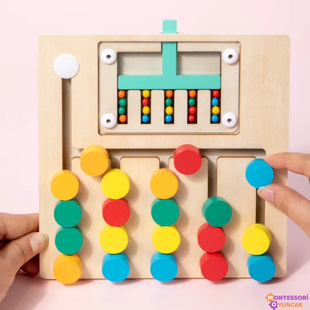 Montessori Ball Matching Game