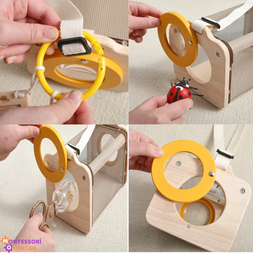 Montessori Insect Study Set