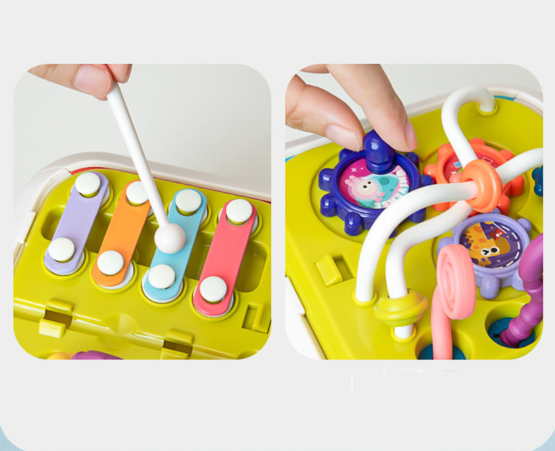 Montessori Functional Educational Toy