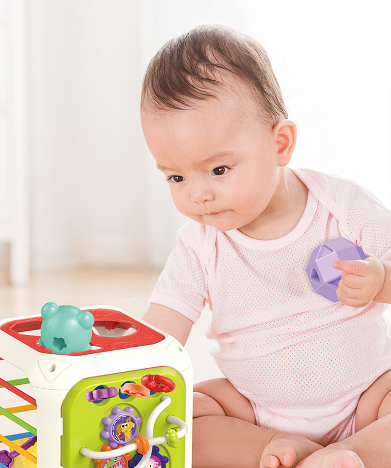 Montessori Functional Educational Toy