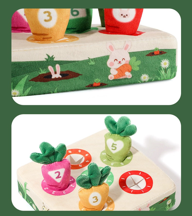 Montessori Carrot Toy