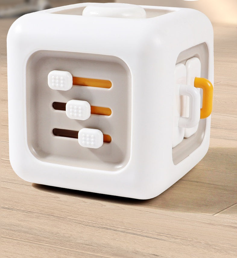 Montessori Educational Cube