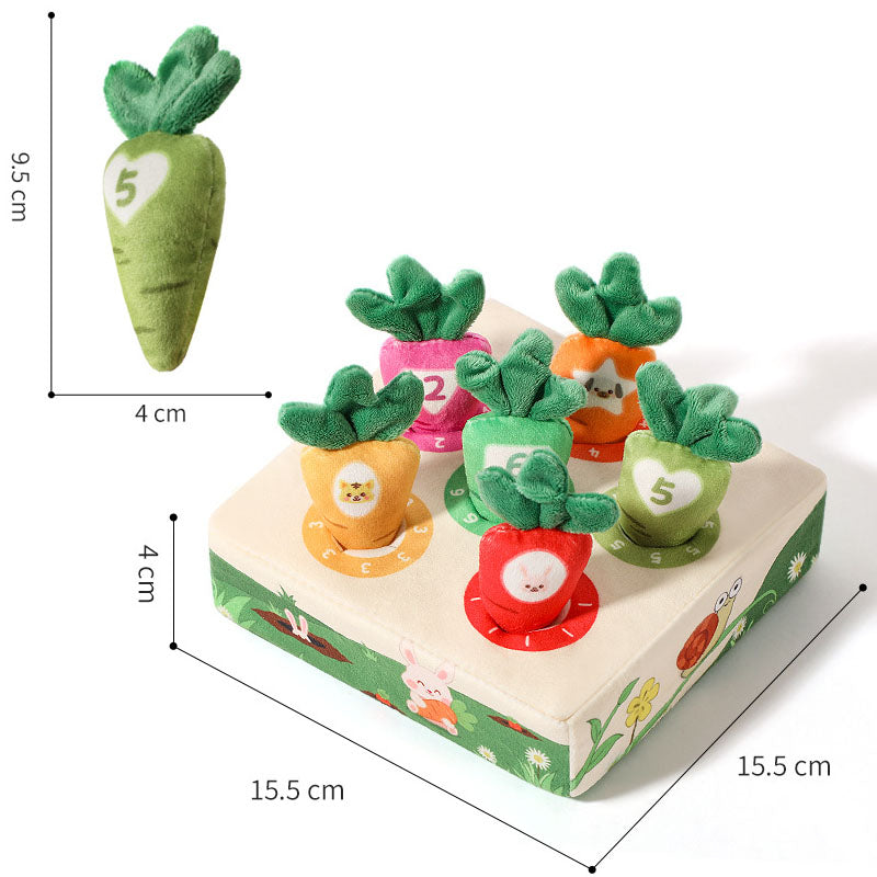 Montessori Carrot Toy