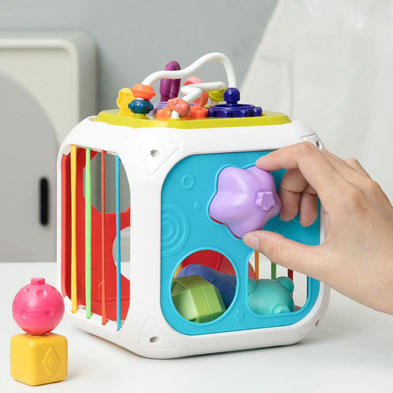 Montessori Functional Educational Toy