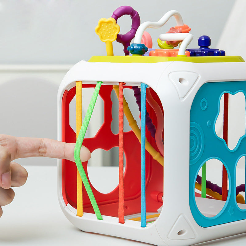 Montessori Functional Educational Toy