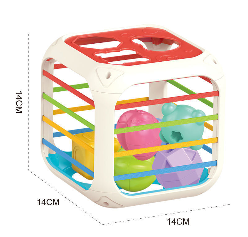 Montessori Functional Educational Toy