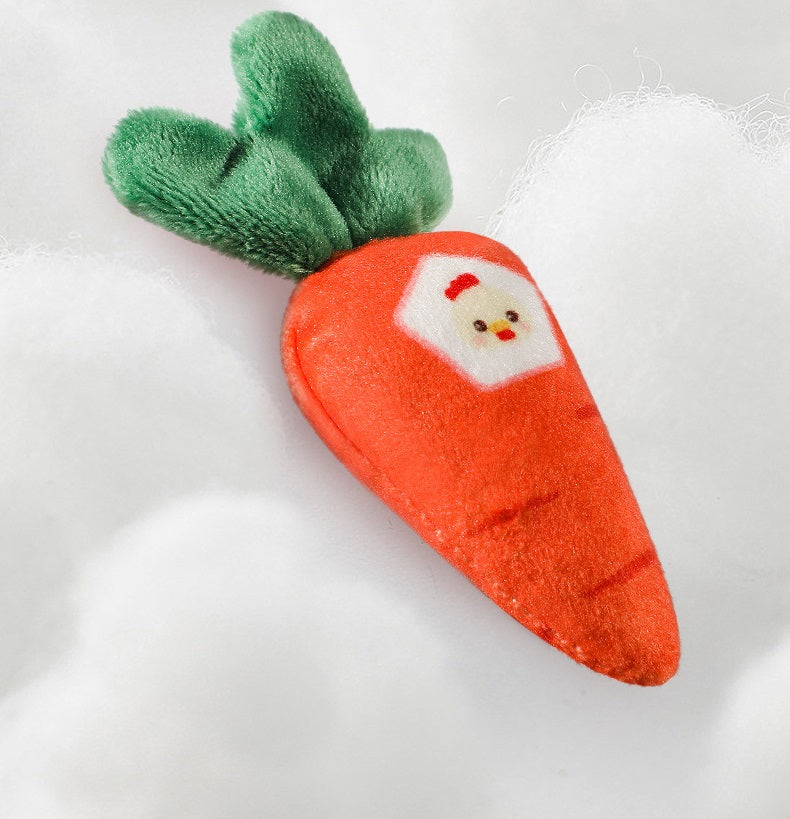Montessori Carrot Toy