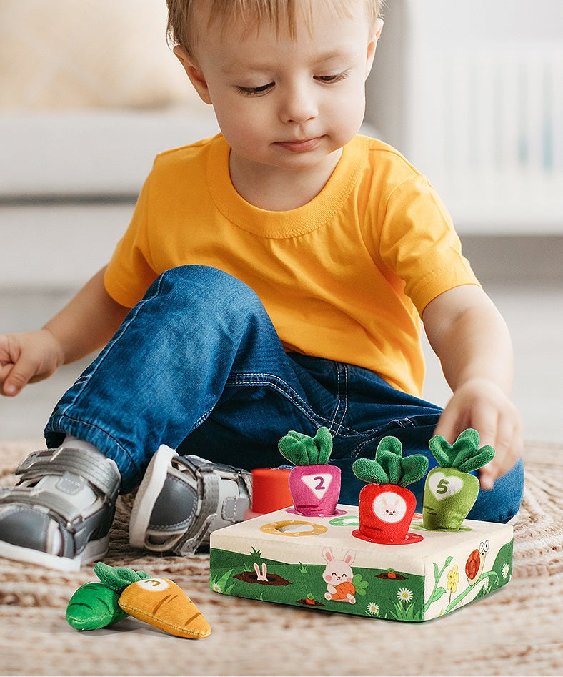 Montessori Carrot Toy