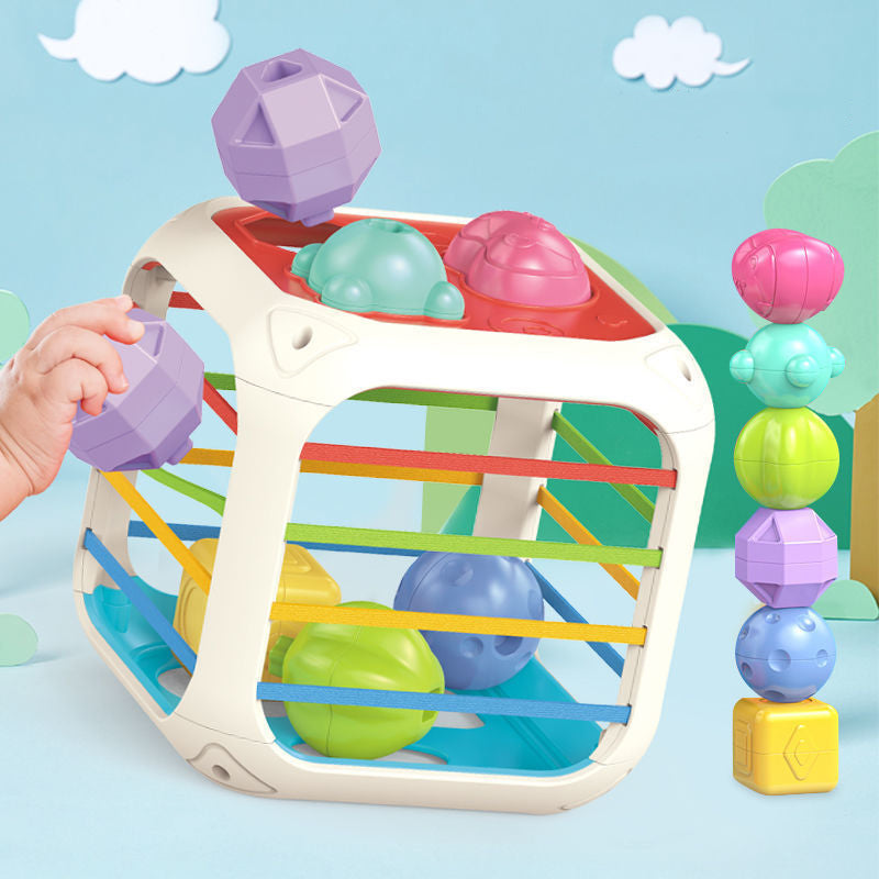 Montessori Functional Educational Toy