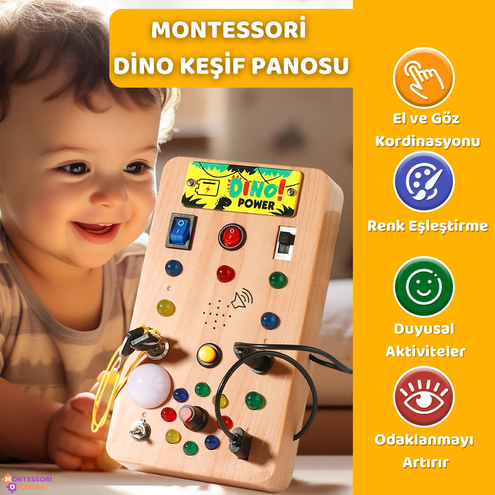 Dino Discovery Board