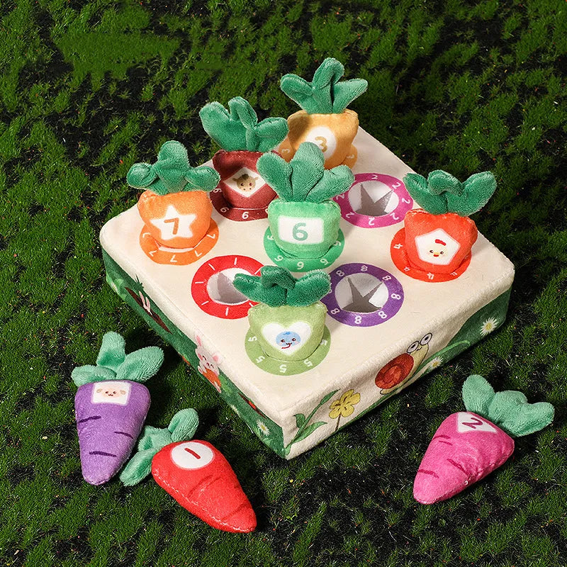 Montessori Carrot Toy