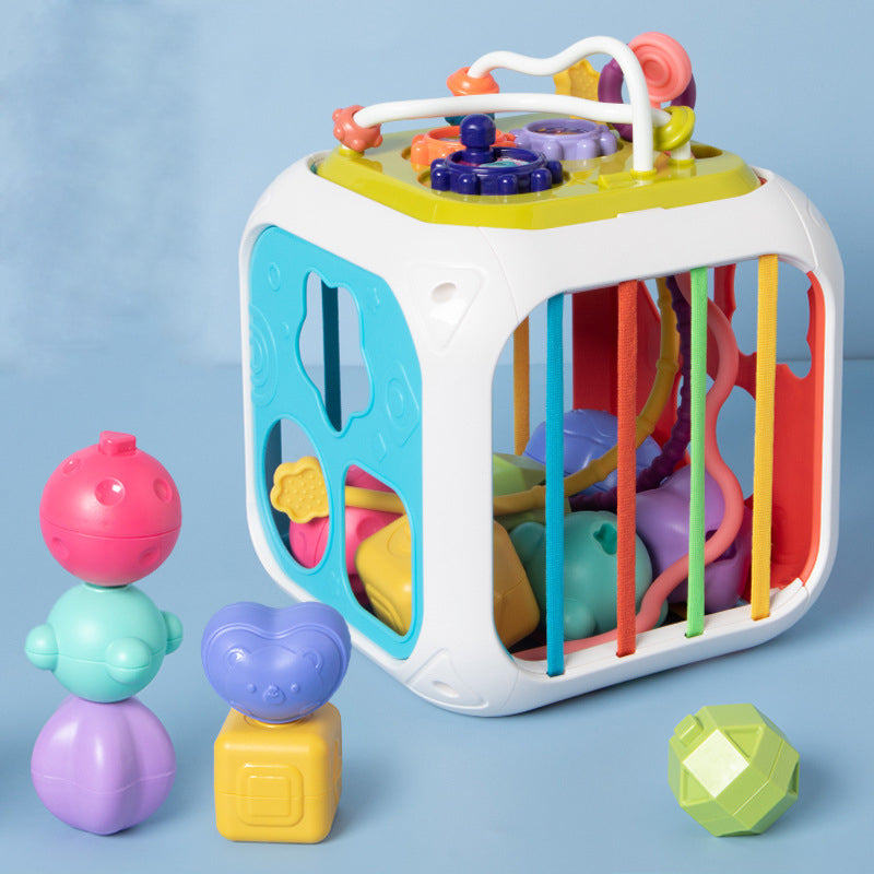Montessori Functional Educational Toy