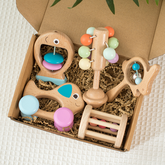 Montessori Newborn Gift Set