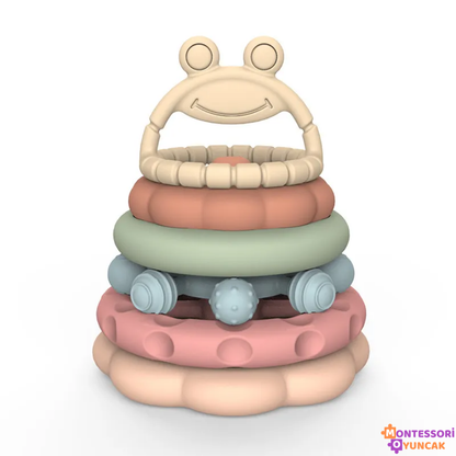 Educational Cute Frog