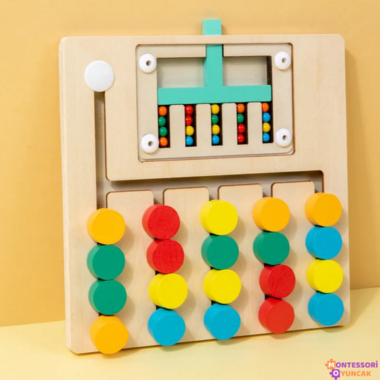 Montessori Ball Matching Game