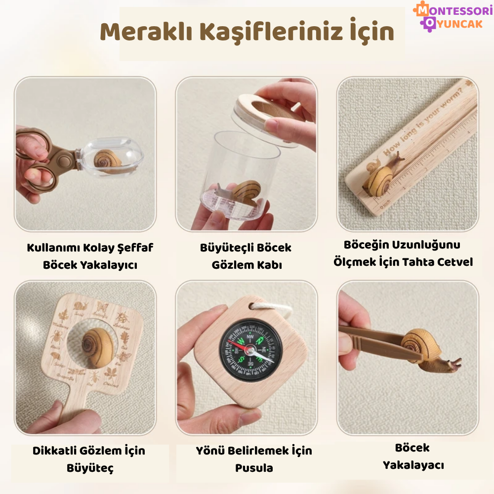 Montessori Insect Study Set
