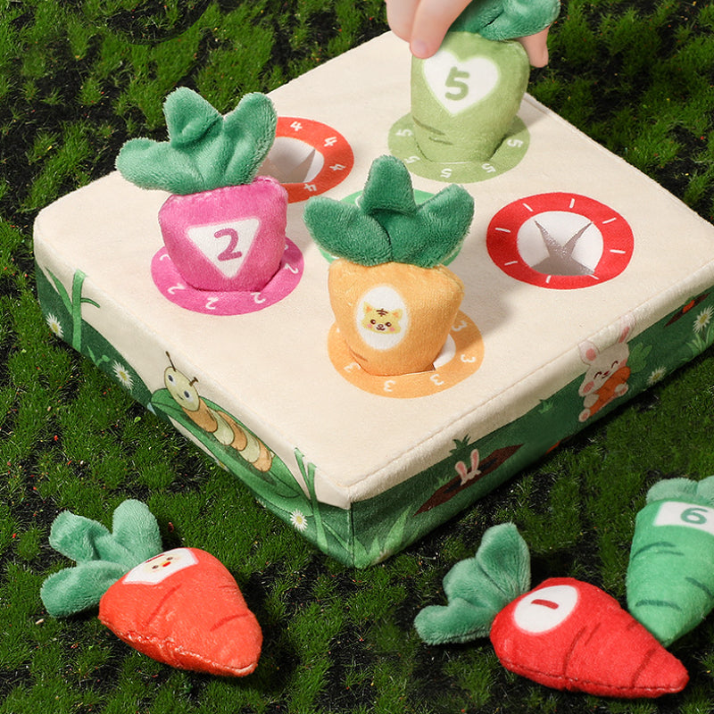 Montessori Carrot Toy