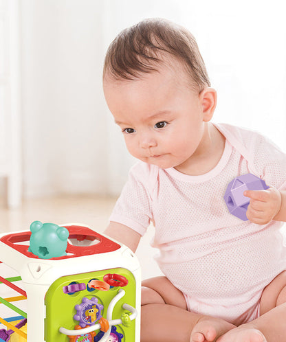Montessori Functional Educational Toy