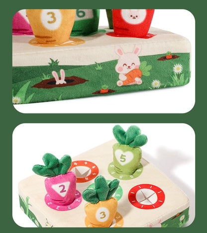 Montessori Carrot Toy