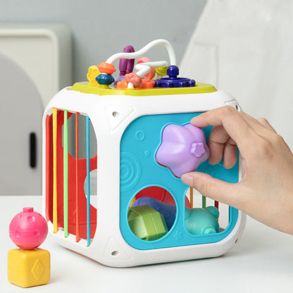 Montessori Functional Educational Toy