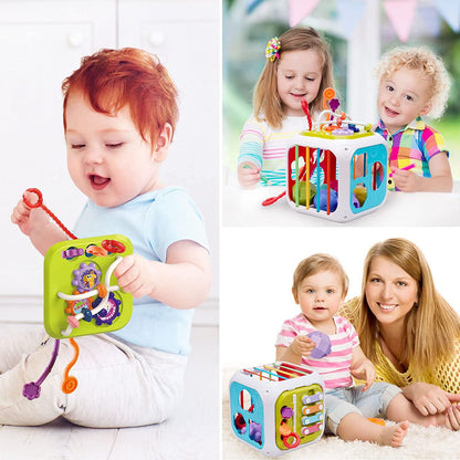 Montessori Functional Educational Toy