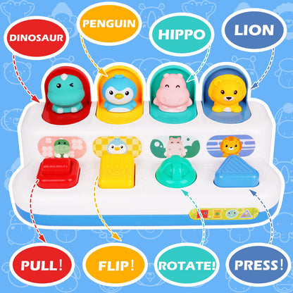 Montessori Animal Hide and Seek Toy
