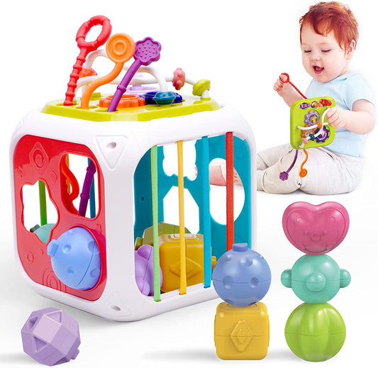 Montessori Functional Educational Toy