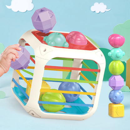 Montessori Functional Educational Toy