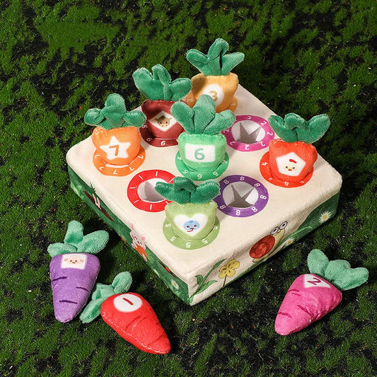 Montessori Carrot Toy
