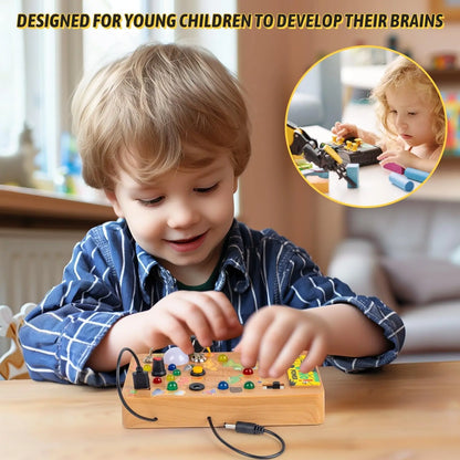 Dino Discovery Board Montessori