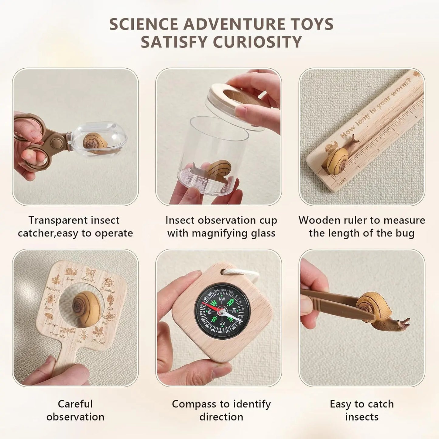 Montessori Insect Study Set Montessori